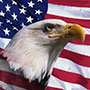 Admission on Motion - Military Spouse